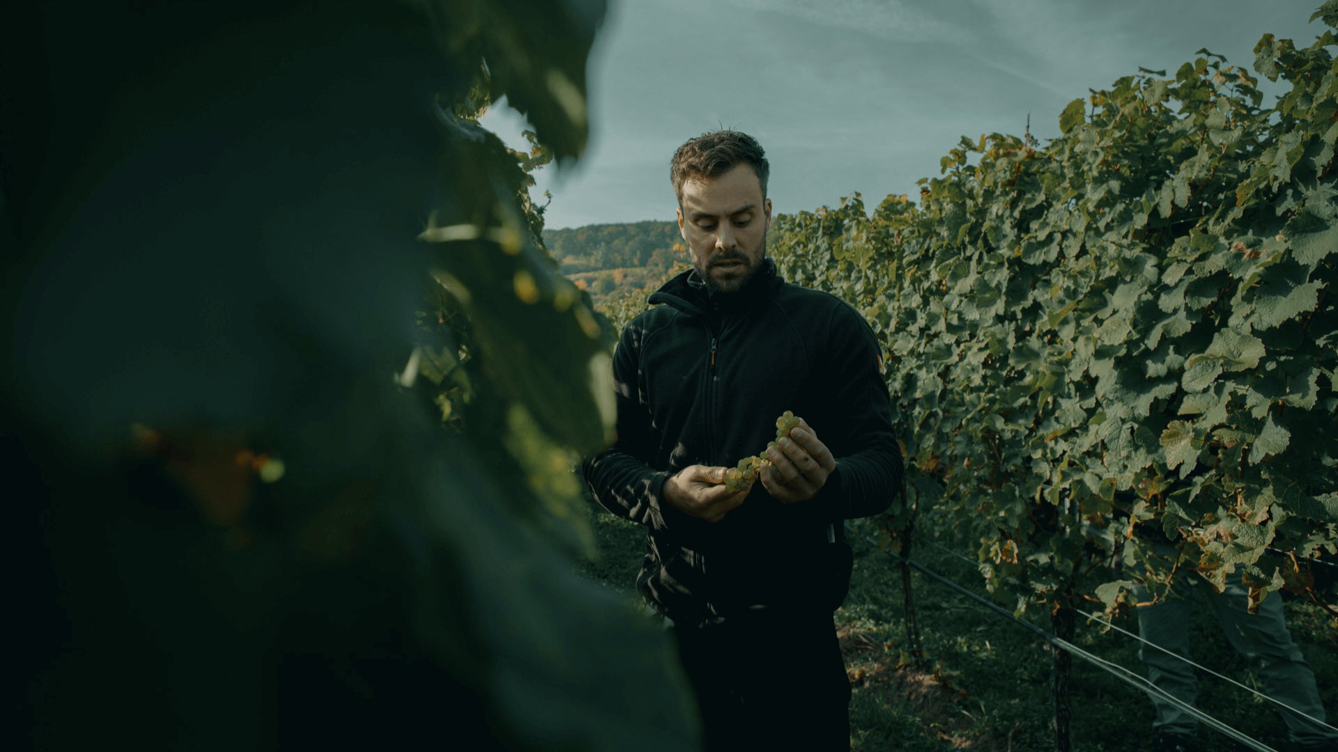 Grand Wino Winnica Burnikel Winiarz Wino